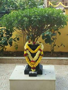 லட்சுமி தேவியின் பிரியமான எவற்றை செய்வதால் செல்வம் வரும்